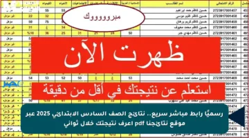 رسميًا رابط مباشر سريع.. نتائج الصف السادس الابتدائي 2025 عبر موقع نتائجنا pdf اعرف نتيجتك خلال ثواني